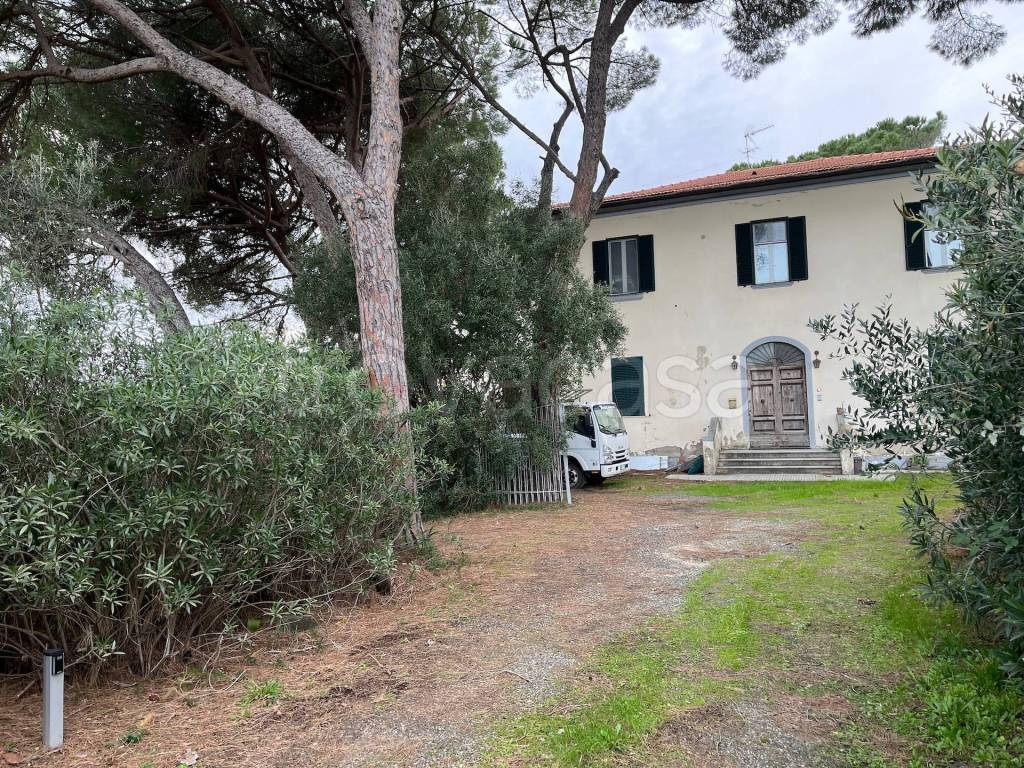 immagine annuncio 1 di 7