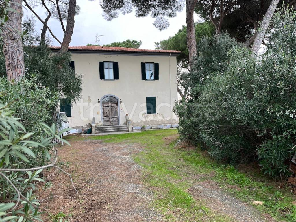immagine annuncio 3 di 7