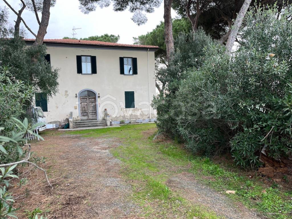 immagine annuncio 4 di 7