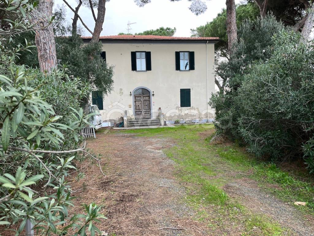 immagine annuncio 5 di 7