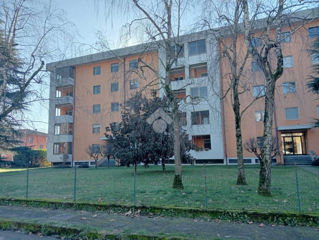 Appartamento in vendita a Belgioioso via p. Togliatti, 5