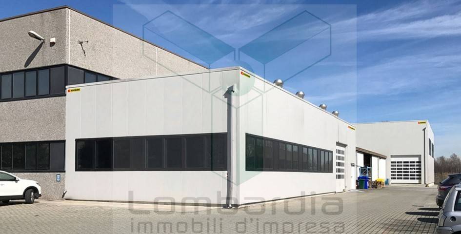 immagine annuncio 1 di 11