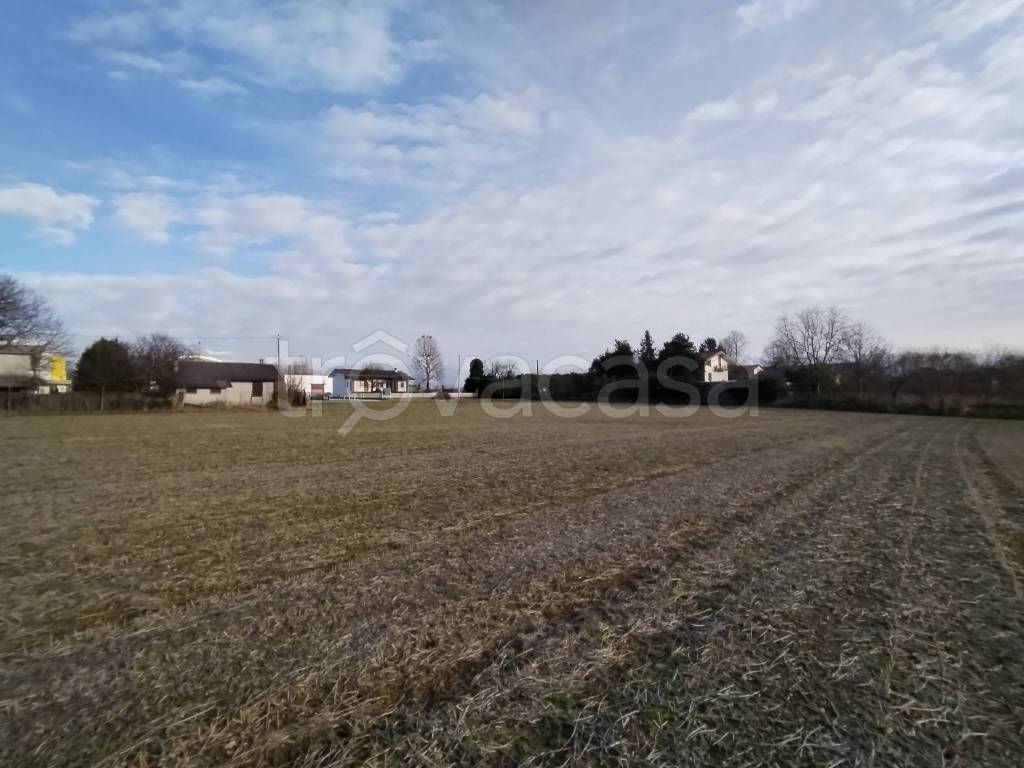 immagine annuncio 9 di 14