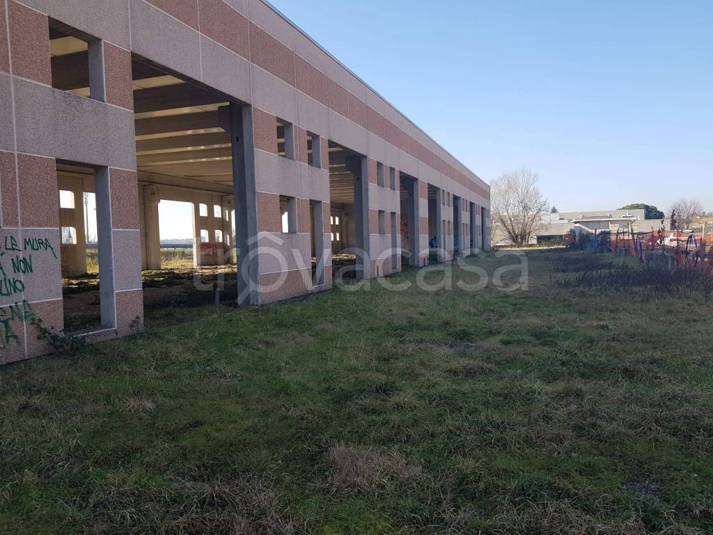immagine annuncio 9 di 14