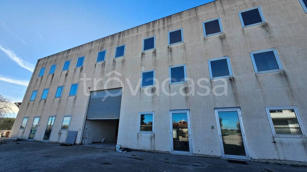 immagine annuncio 3 di 9