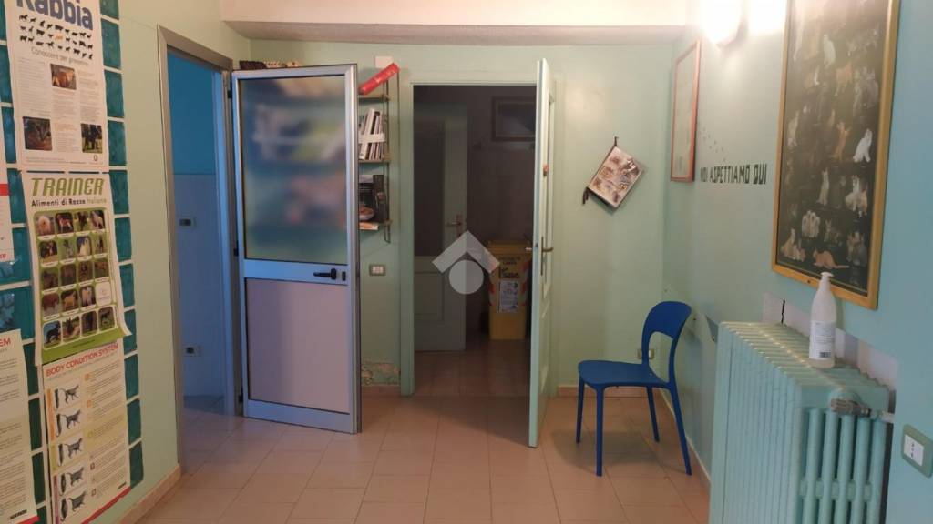 immagine annuncio 1 di 12