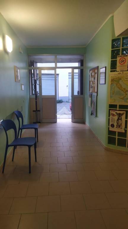immagine annuncio 8 di 12