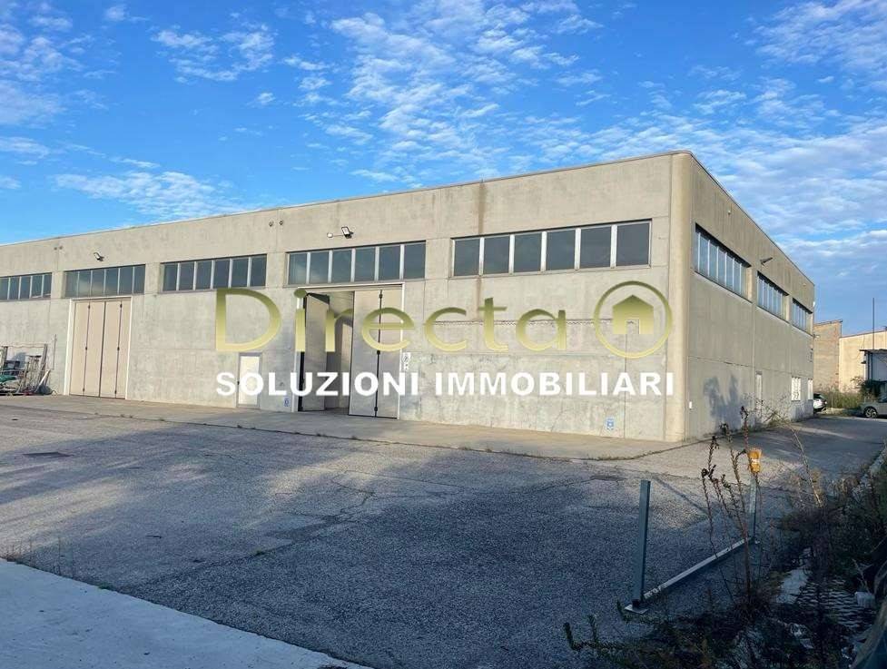immagine annuncio 1 di 8