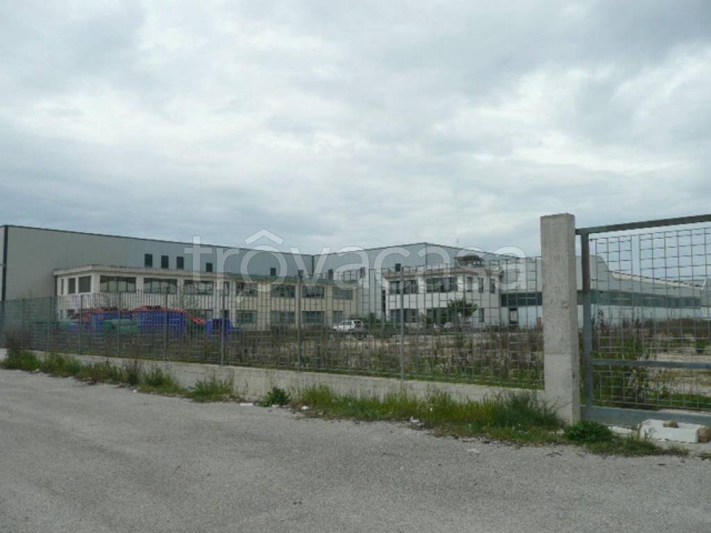 immagine annuncio 4 di 6