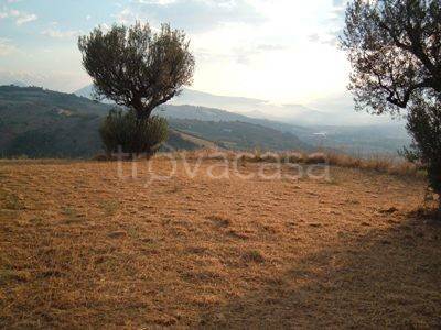 immagine annuncio 6 di 14