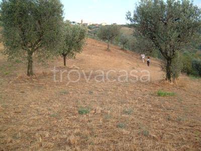 immagine annuncio 10 di 14