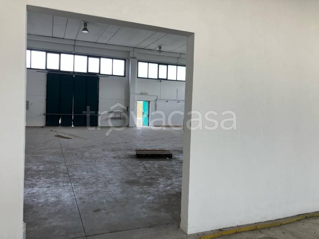 immagine annuncio 5 di 7