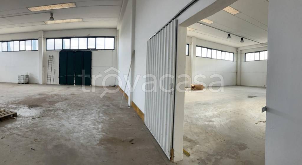 immagine annuncio 6 di 7