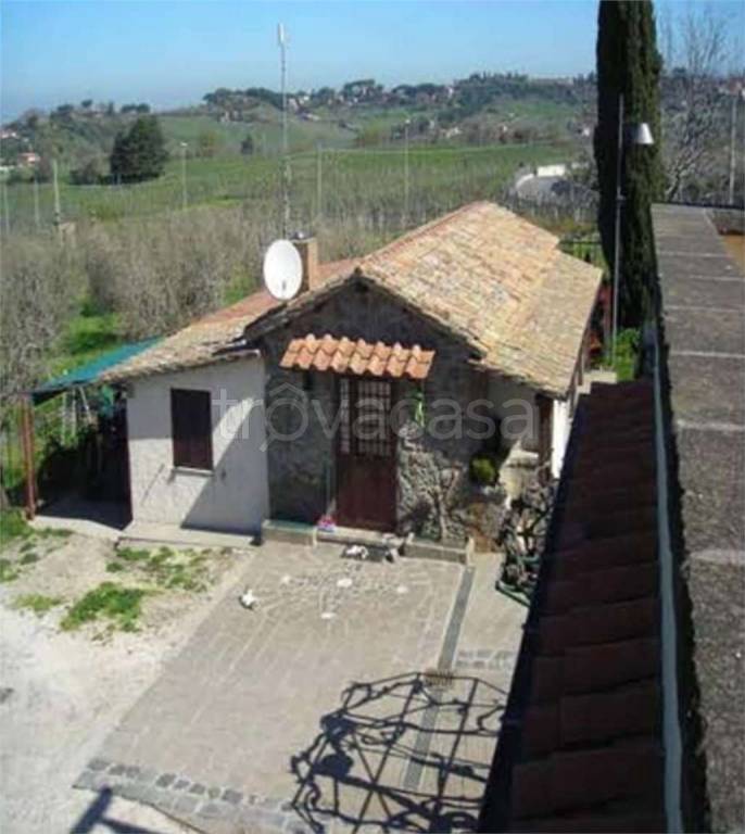 immagine annuncio 7 di 14