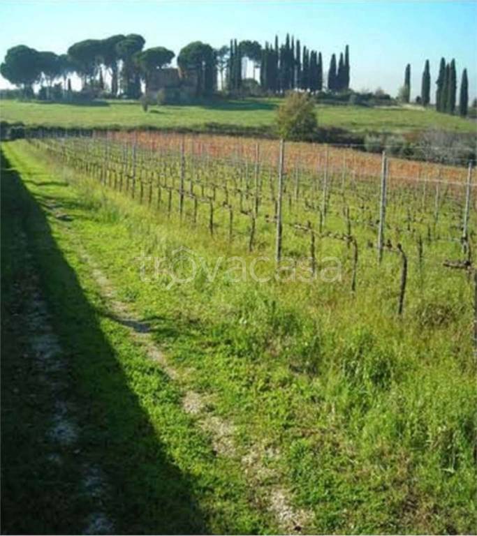 immagine annuncio 10 di 14
