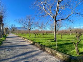 Terreno agricolo in vendita a saviano 