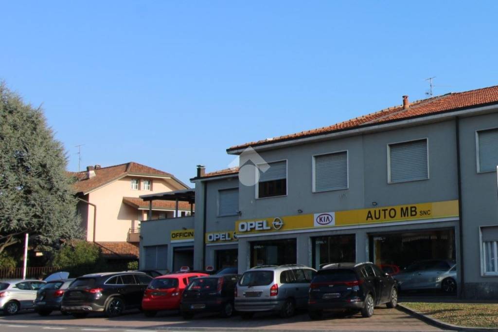 immagine annuncio 2 di 15