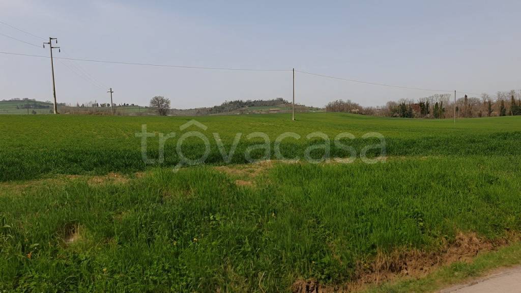 Terreno Agricolo in vendita a Mercato Saraceno via Romagna