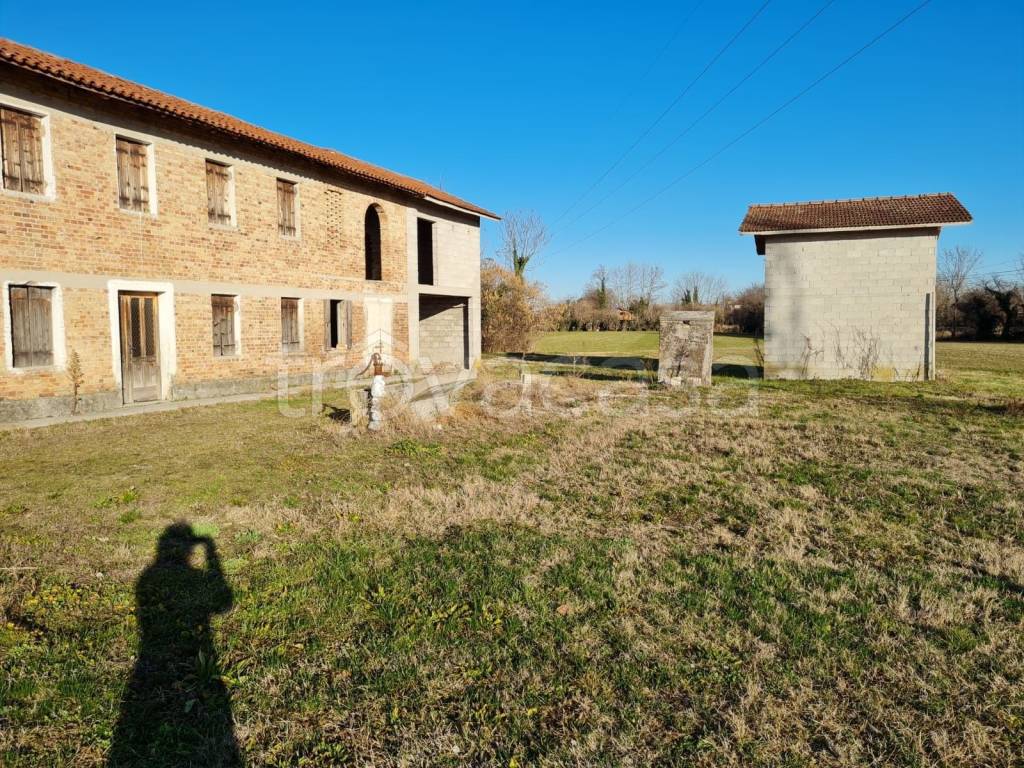 immagine annuncio 2 di 12