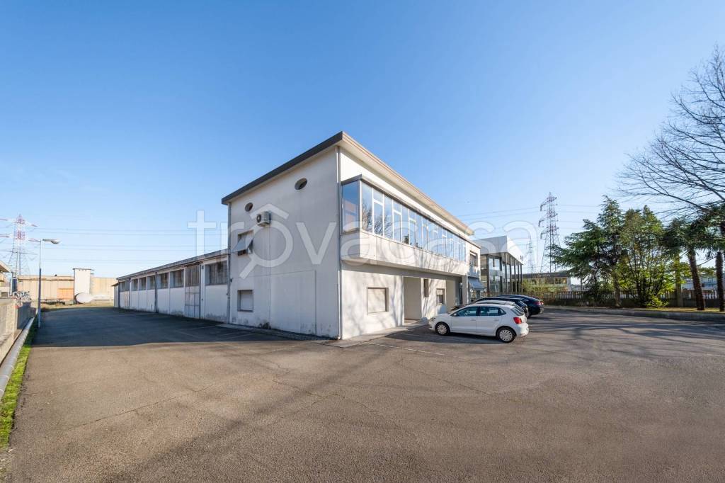 immagine annuncio 3 di 15