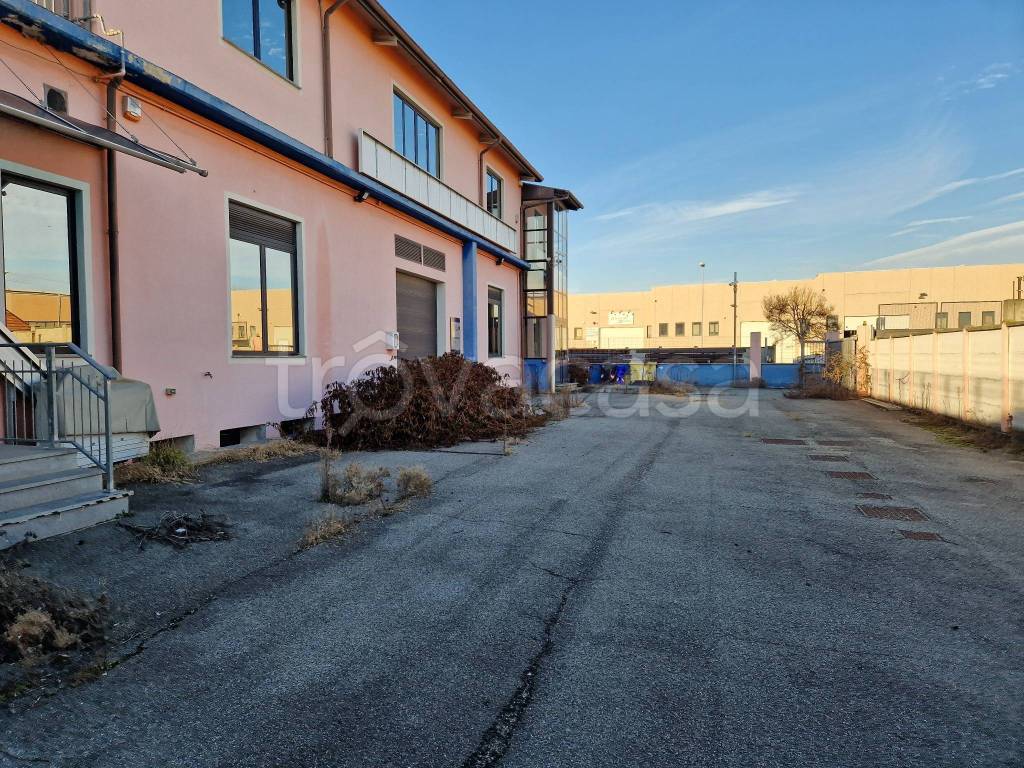 immagine annuncio 7 di 15