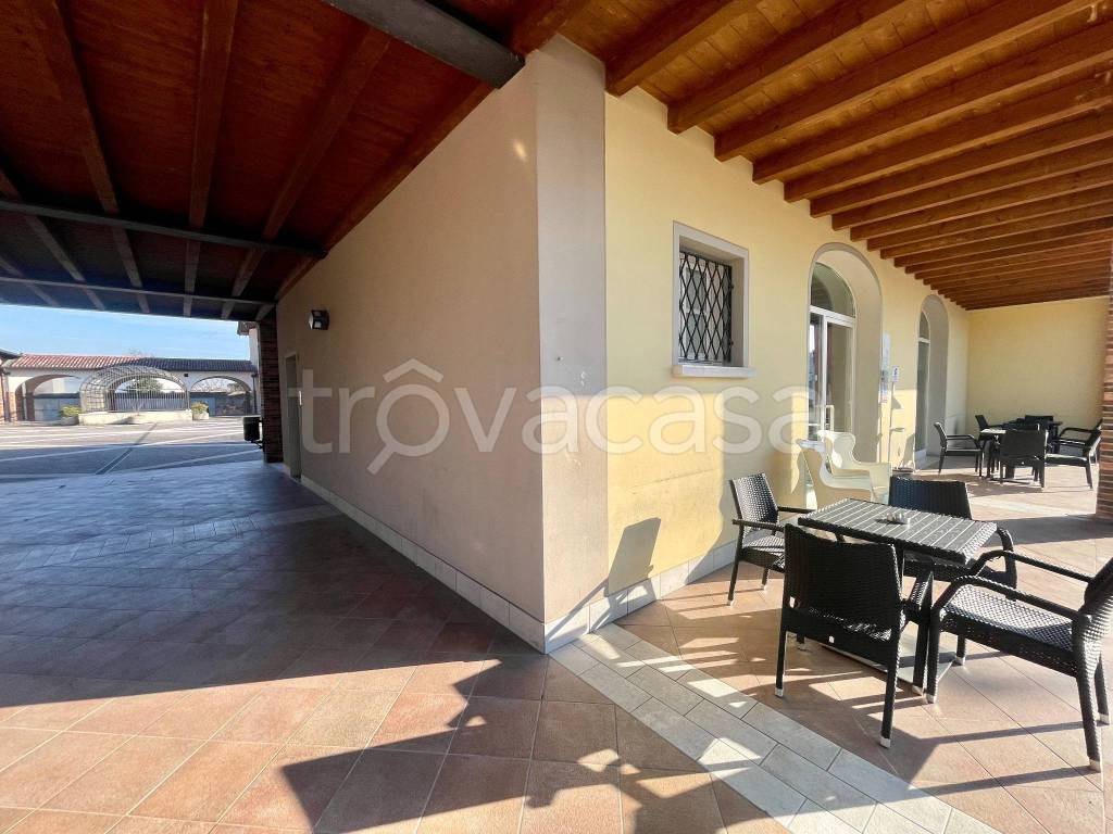 immagine annuncio 1 di 6