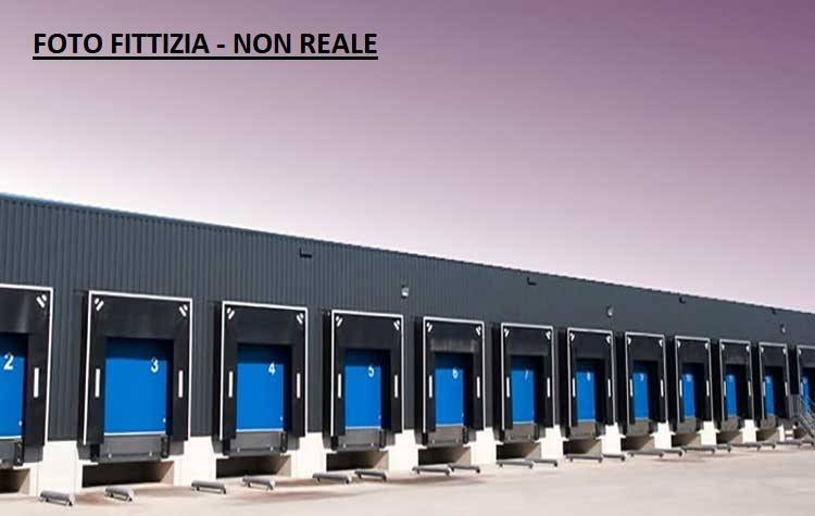 immagine annuncio 2 di 4