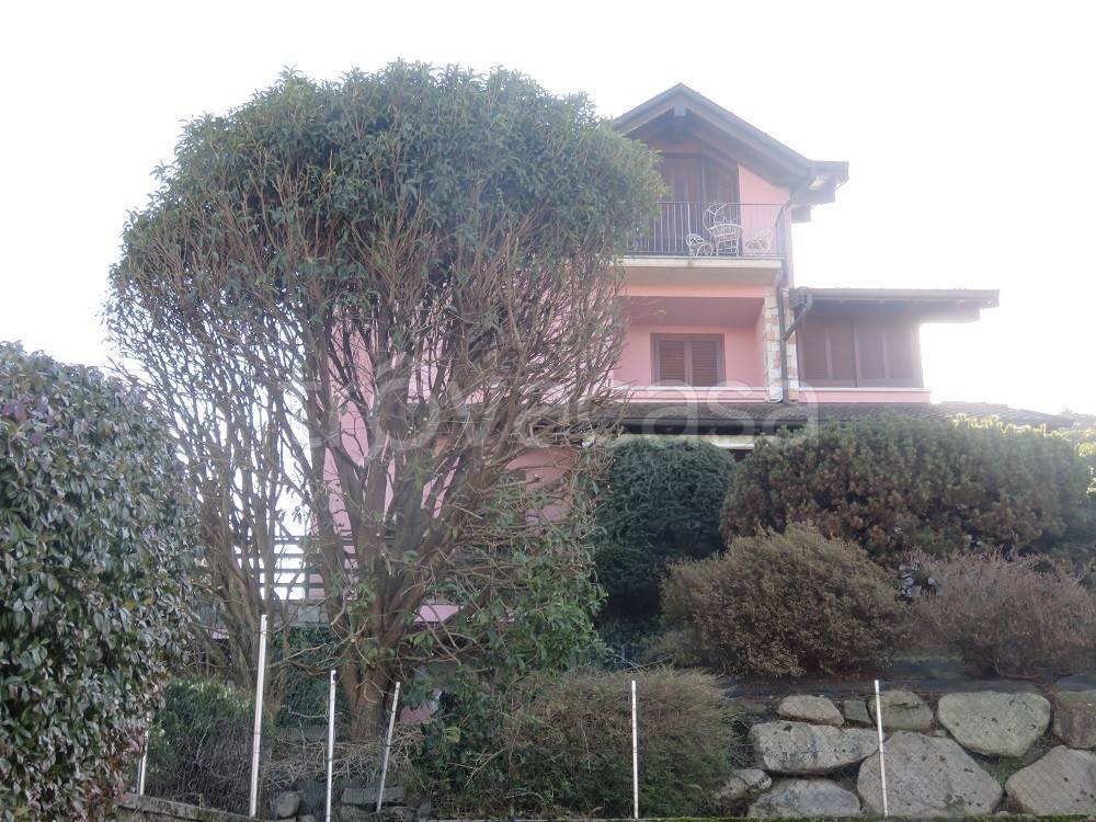 immagine annuncio 1 di 11