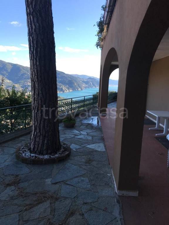 Appartamento in in vendita da privato a Rapallo via Pietrafredda, 3