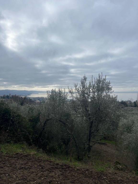 immagine annuncio 3 di 6