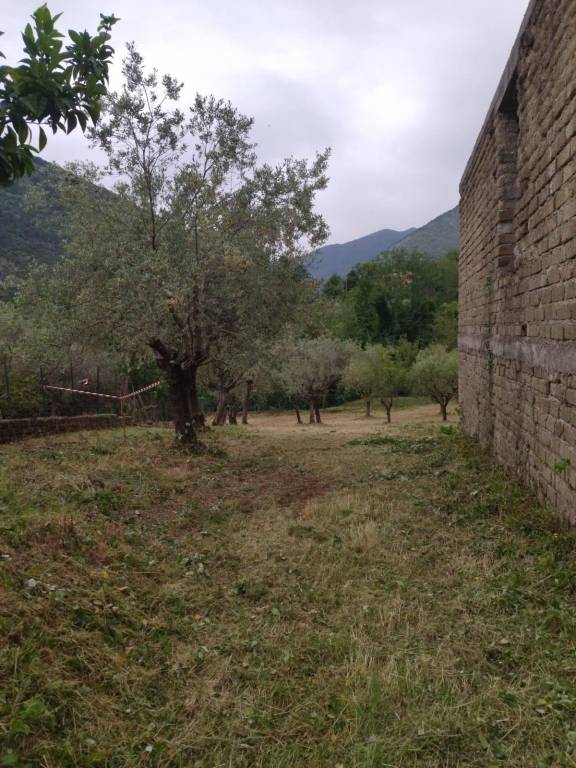 immagine annuncio 3 di 8