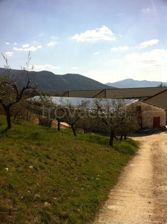 Capannone Industriale in in affitto da privato a Monteroduni strada Statale Venafrana