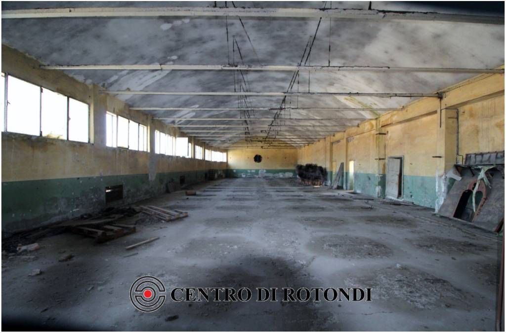 immagine annuncio 5 di 6