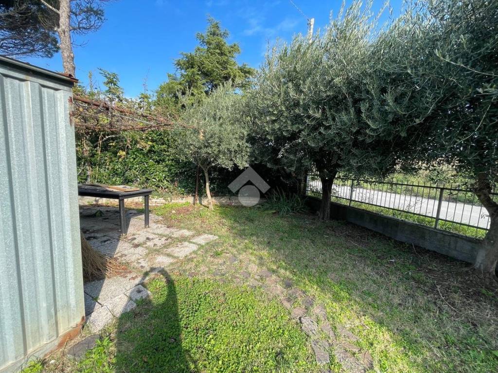 immagine annuncio 6 di 12
