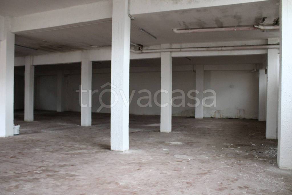 immagine annuncio 7 di 12