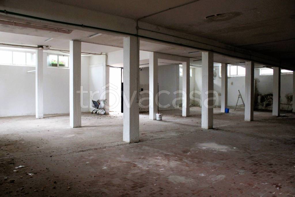 immagine annuncio 5 di 12