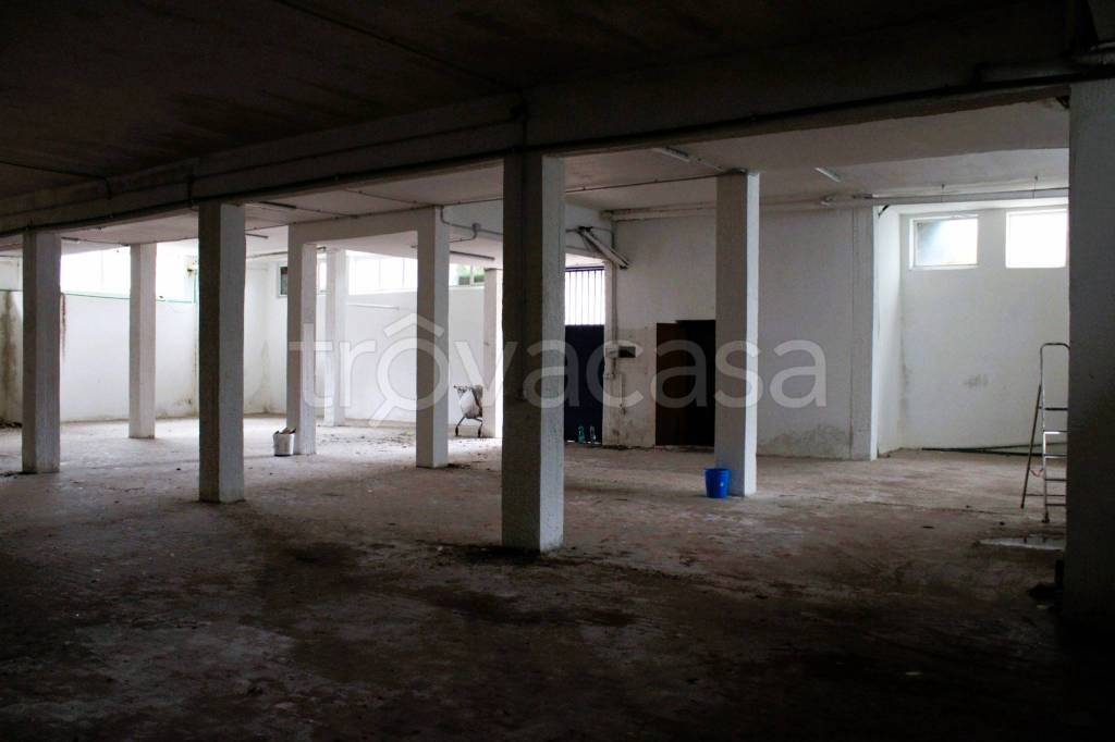 immagine annuncio 9 di 12