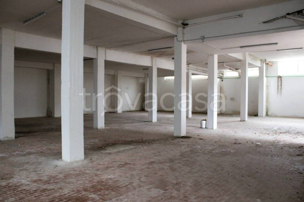 immagine annuncio 3 di 12