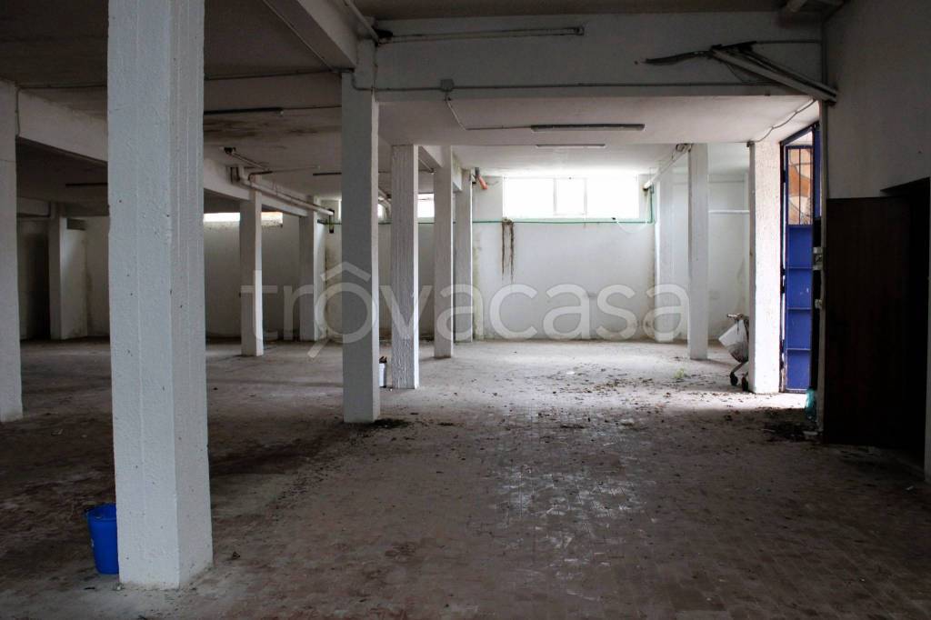 immagine annuncio 6 di 12