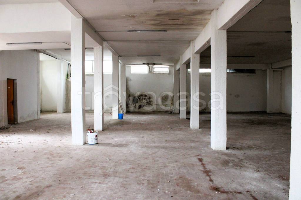 immagine annuncio 4 di 12