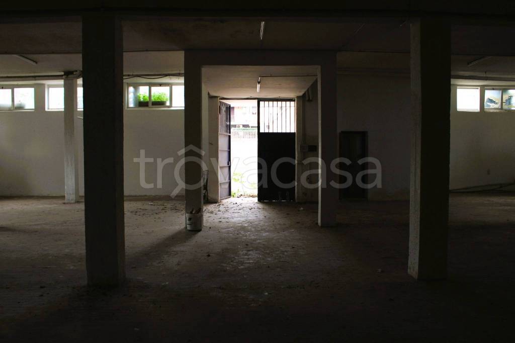 immagine annuncio 10 di 12