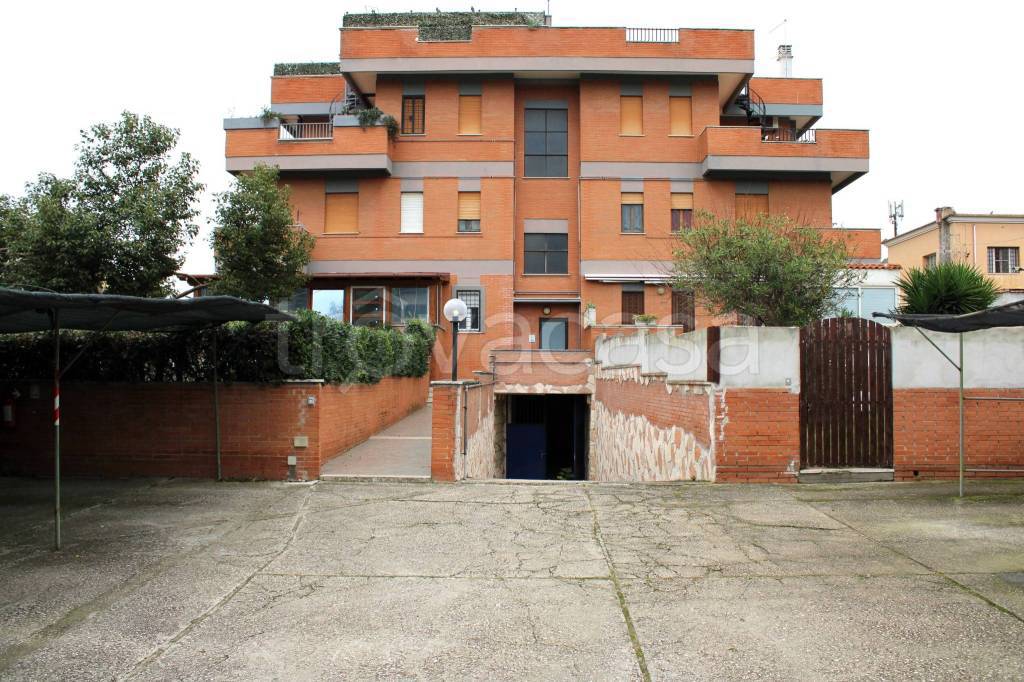 immagine annuncio 11 di 12