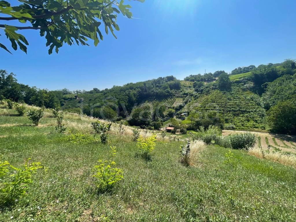 immagine annuncio 5 di 7