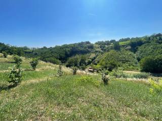 Terreno agricolo in vendita a san colombano al lambro madonna del latte