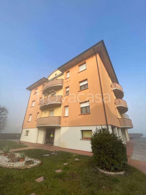Appartamento in vendita a Mirandola via San Martino Carano