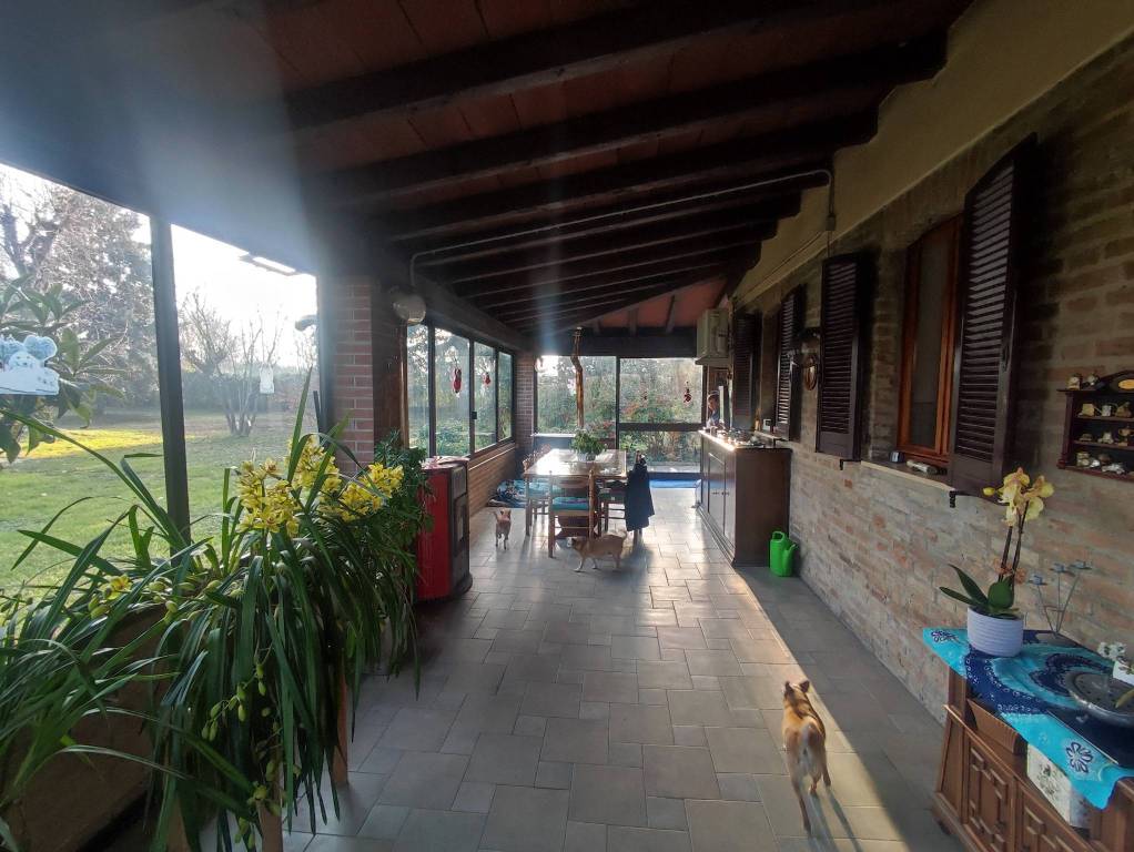 immagine annuncio 9 di 15