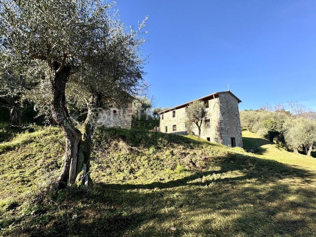immagine annuncio 1 di 6