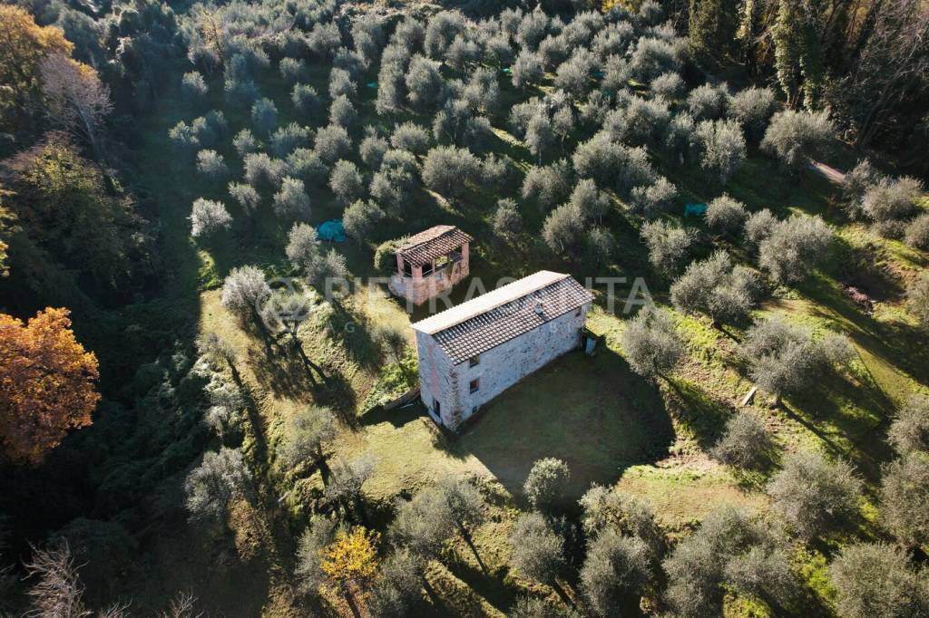 immagine annuncio 4 di 6