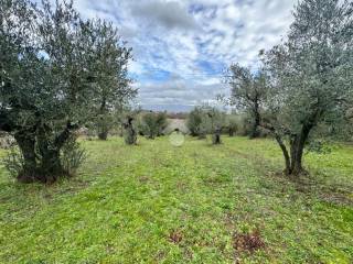 Terreno agricolo in vendita a colonna via valle zita