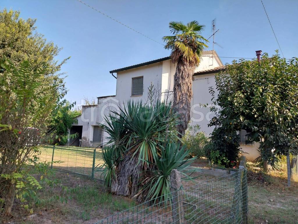 Casa Indipendente in in vendita da privato ad Alfonsine via Valeria, 92